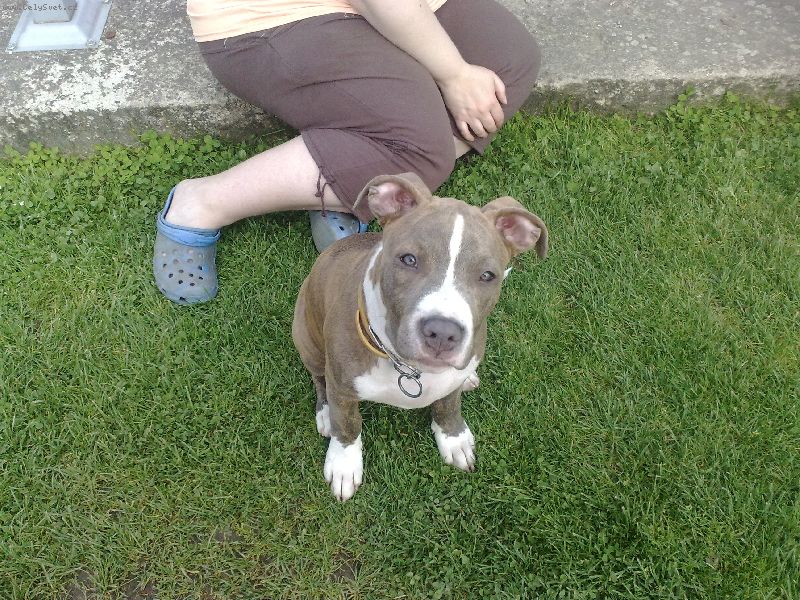 Foto: Vymaz�no !-[R]Zpr�va byla vymaz�na[/R] .. v : ()