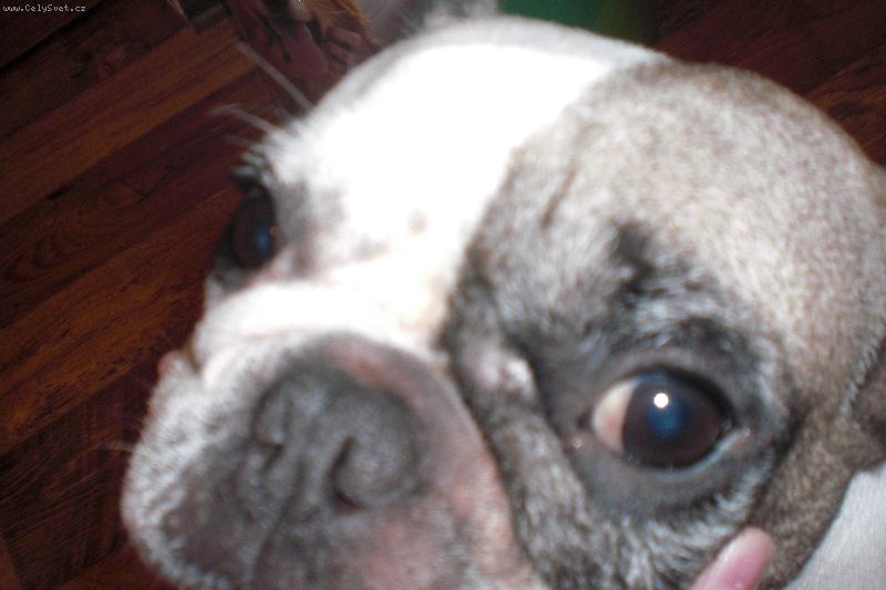 Foto: Tukov� n�dor-Dobr� den,chci se zeptat nev�te co by to mohlo b�t p�ivezla jsem si vene�ku