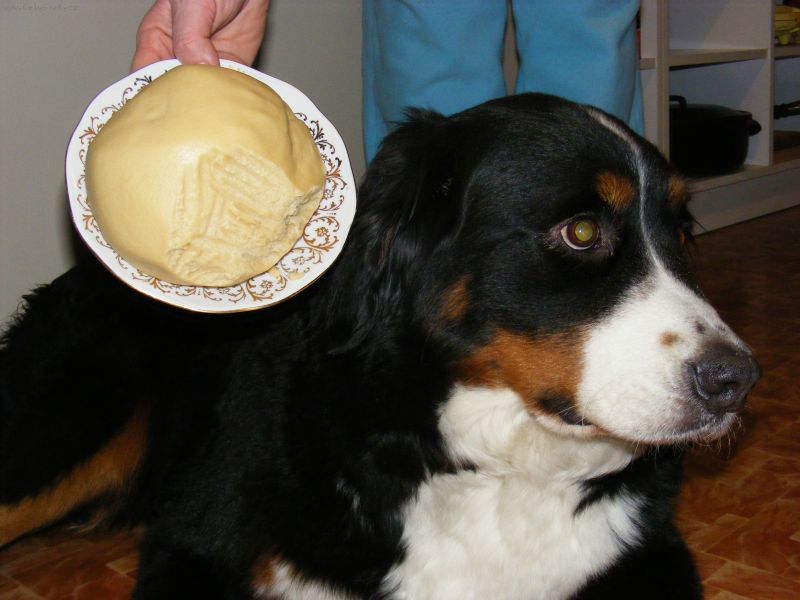 Foto: jen tak-j� nic, j� muzikant.. to t�sto okousal n�kdo jin�..