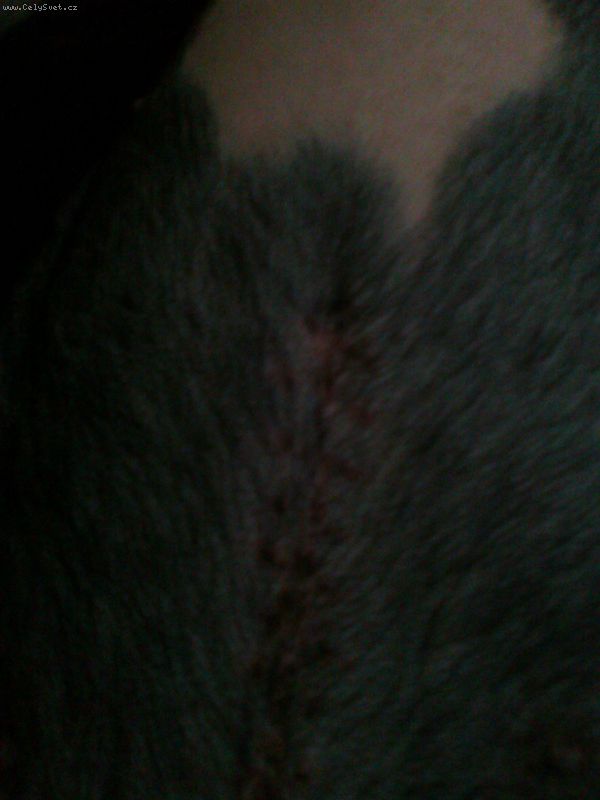 Foto: -[to]Camel-la[/to] 
Dobr� den, 
tady V�m pos�l�m fote�ku, sice je �patn� v