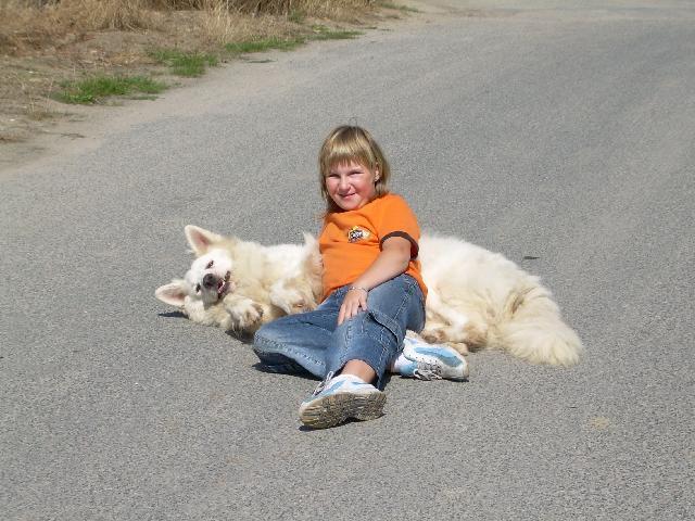 Fotky: B�l� �v�carsk� ov��k (foto, obrazky)