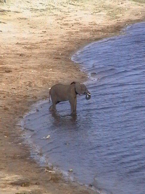 Foto: Botswana-Kasane