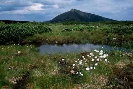 Foto: Nejvy��� hory �R-Krkono�e - SN̎KA