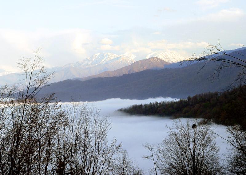 Foto: �r�n-Mazandaran