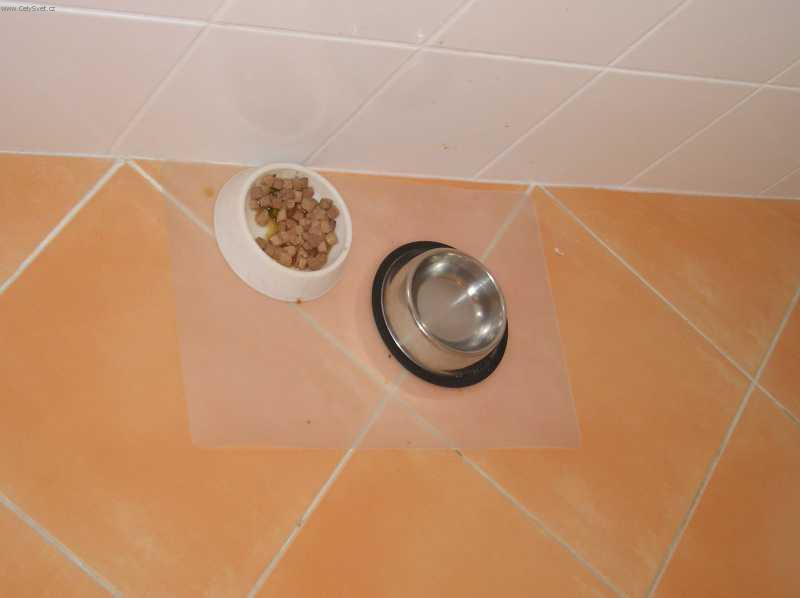 Fotky: Krmen� ko�ek (foto, obrazky)