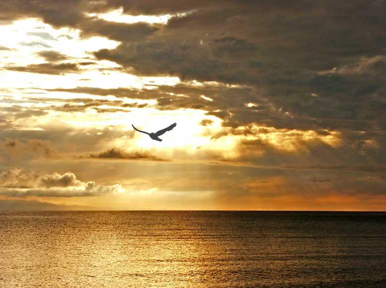 Foto: Kyrgyzst�n-Bokonbaevo