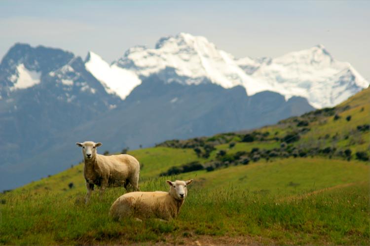 Foto: Nov� Z�land-Glenorchy