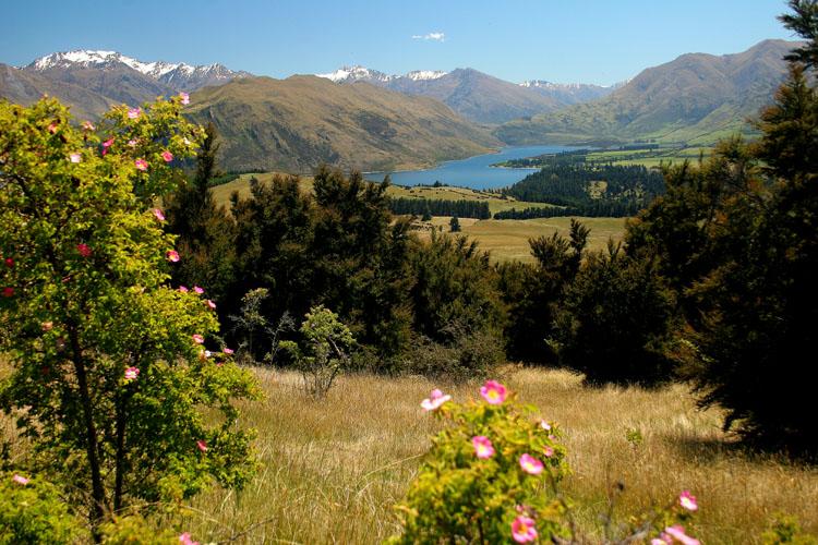 Foto: Nov� Z�land-Wanaka