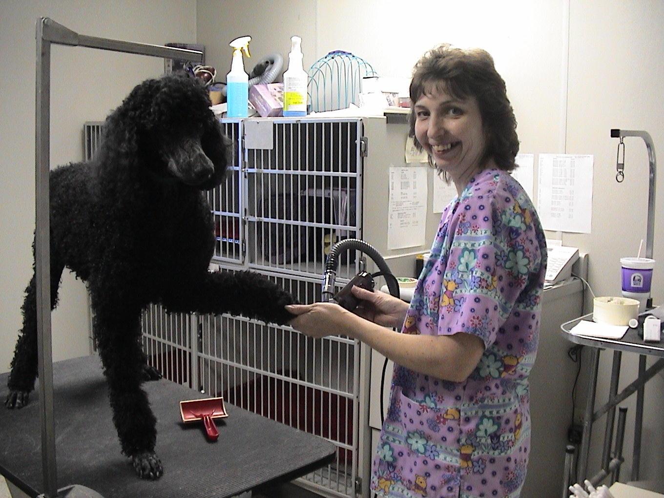 Fotky: O�kov�n� a zdrav� pejska (foto, obrazky)