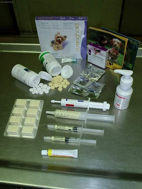 Fotky: Od�erven� ps� (foto, obrazky)