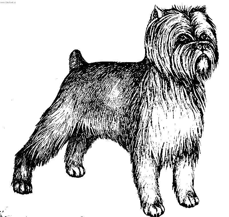 Foto: Opi�� pin�-Kresba