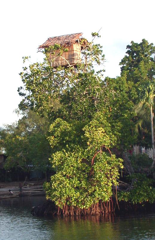 Foto: Papua-Nov� Guinea-New Ireland