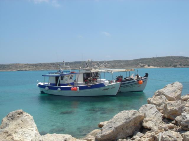 Fotky: �ecko (foto, obrazky)