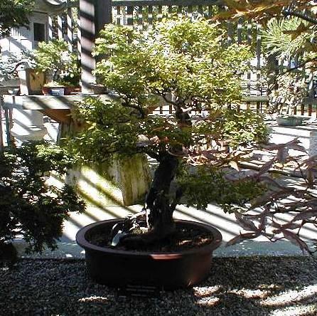 Foto: Sager�cie �ajov�