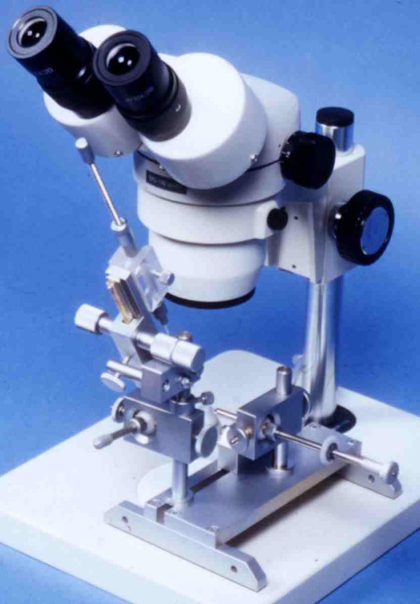 Fotky: Um�l� inseminace (foto, obrazky)