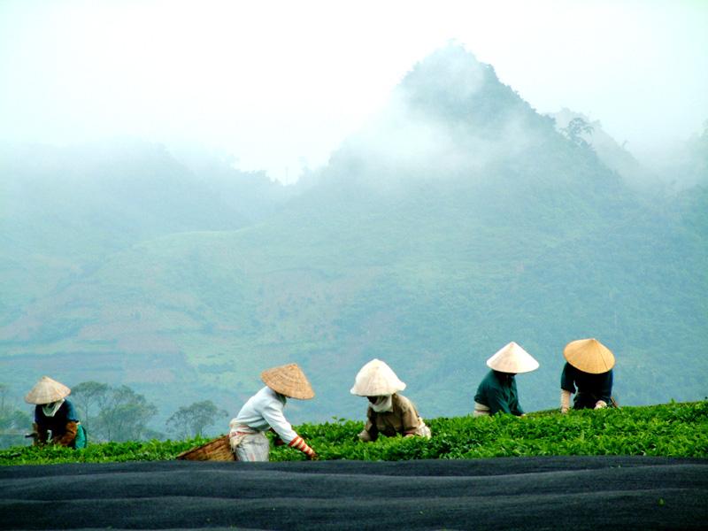 Foto: Vietnam-Son La