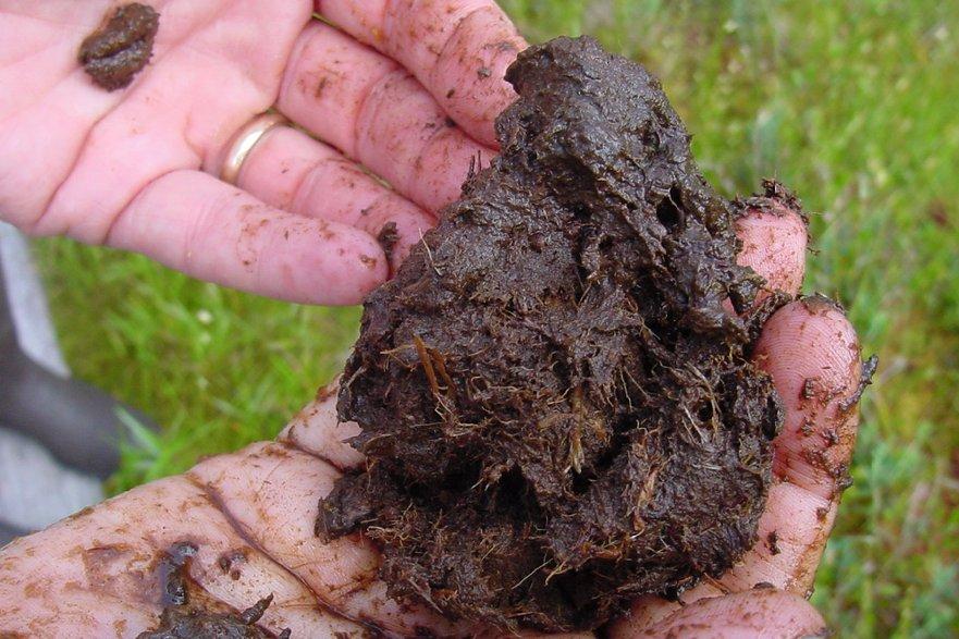 Fotky: Zemina a p�dn� sm�si (foto, obrazky)