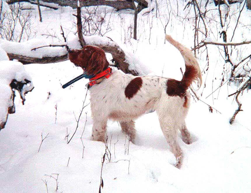 Fotky: Zkou�ky oha�� v �R (foto, obrazky)