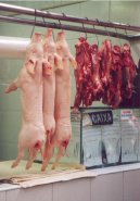 Fotky: Braz�lie (cestopis) (foto, obrazky)