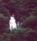 Fotky: Braz�lie (cestopis) (foto, obrazky)