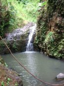 Fotky: USA (cestopis) (foto, obrazky)