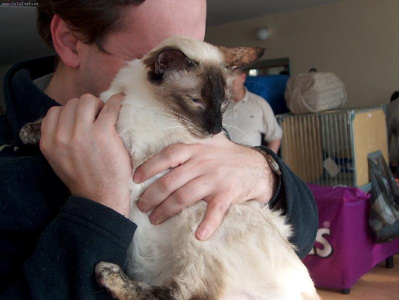 Foto: Minttu - �elvovinov� hol���ka