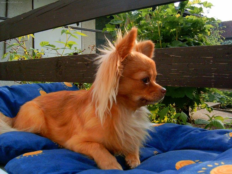 Foto: Mik�a-Pozoruje