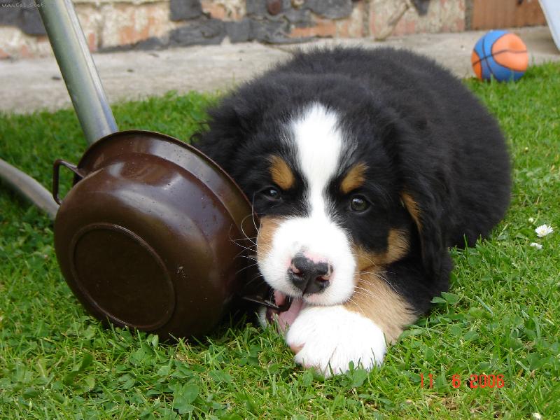 Foto: Sn�m v�echno :)