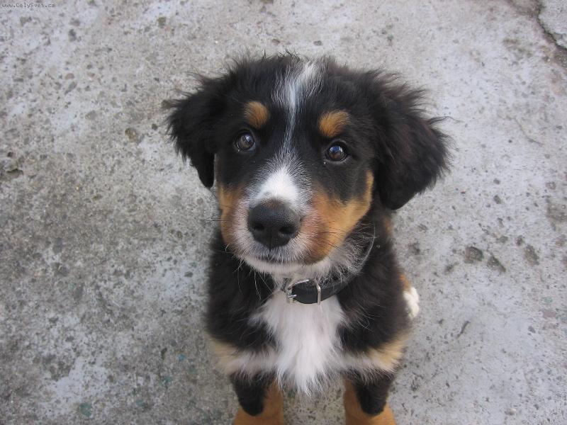 Foto: Harry-Mil��ek rodiny