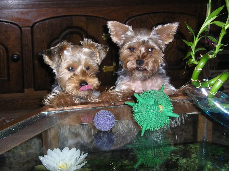 Foto: a kterej je muj????