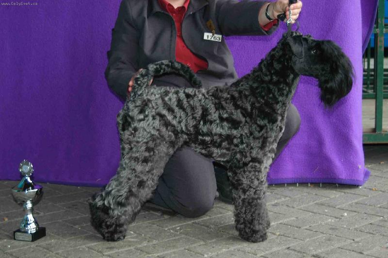 Foto: broda van of the braggadocio-keller