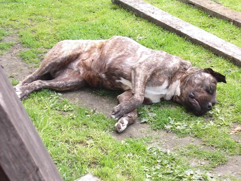 Foto: v�echno sleduji