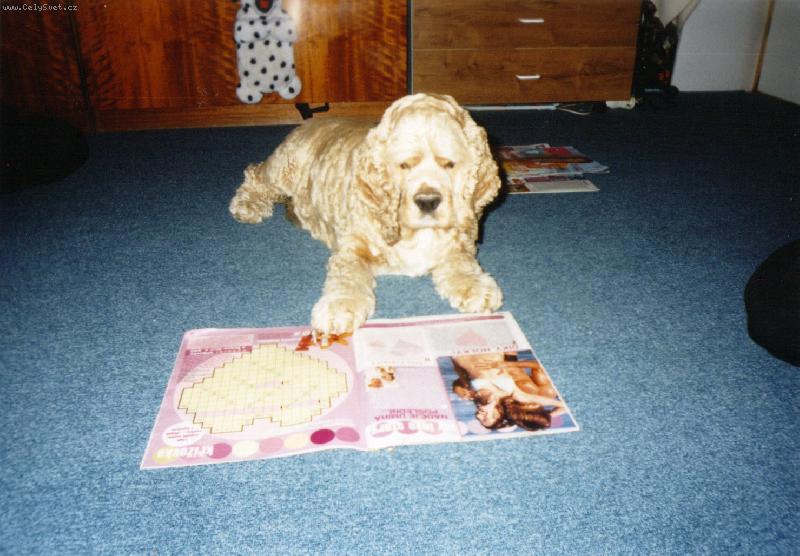 Foto: Endy�ek =o)-N�e zlat��ko