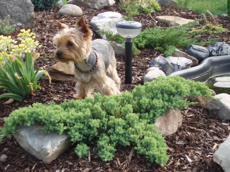 Foto: Samanta-zahradnice