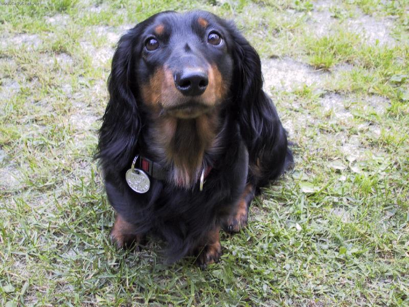 Foto: D�ja ze �t�kotu-kuk