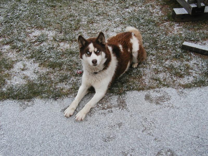 Foto: Brenda-Co mysl�, �e te� ud�l�m?