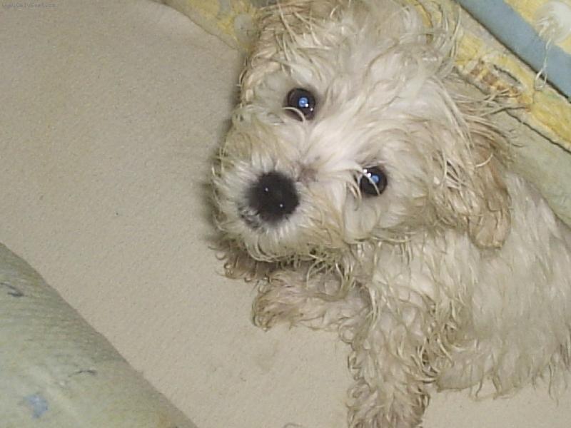 Foto: Nem�m r�d koup�n�....