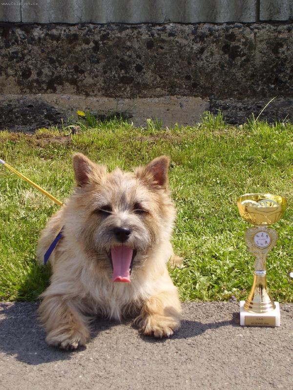 Foto: Po �sp�n� v�stav�-KVP KCHMPP Mlad� Boleslav 2006