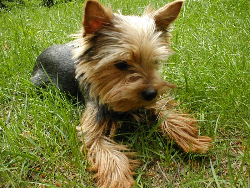 Foto: �iqitka-Tady jsem poprv� na chat�.