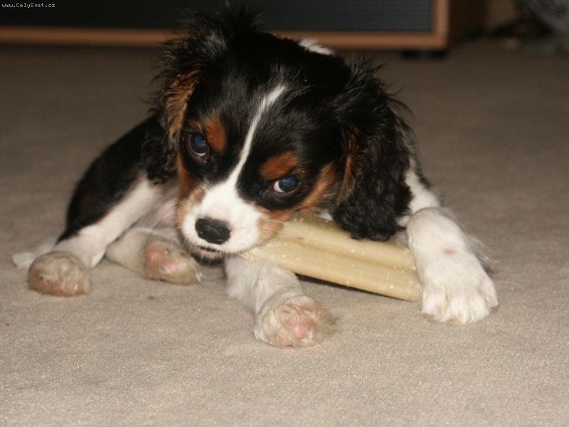 Foto: Andy-to je ale dobrota :-)