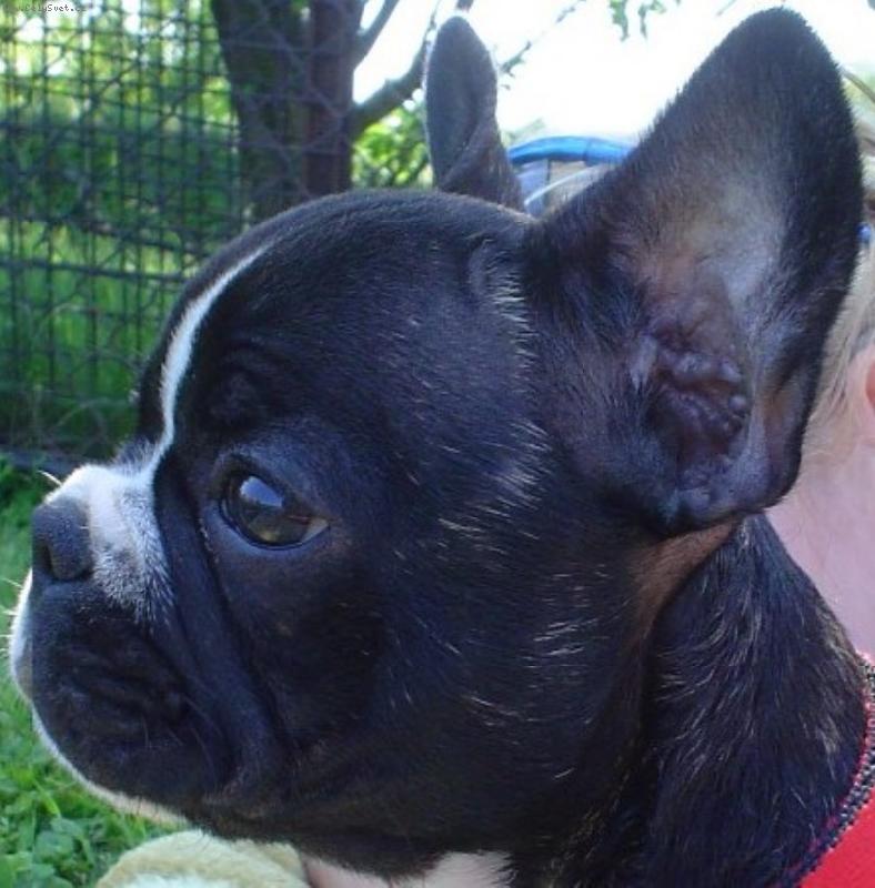 Foto: Gabi-��h�m...