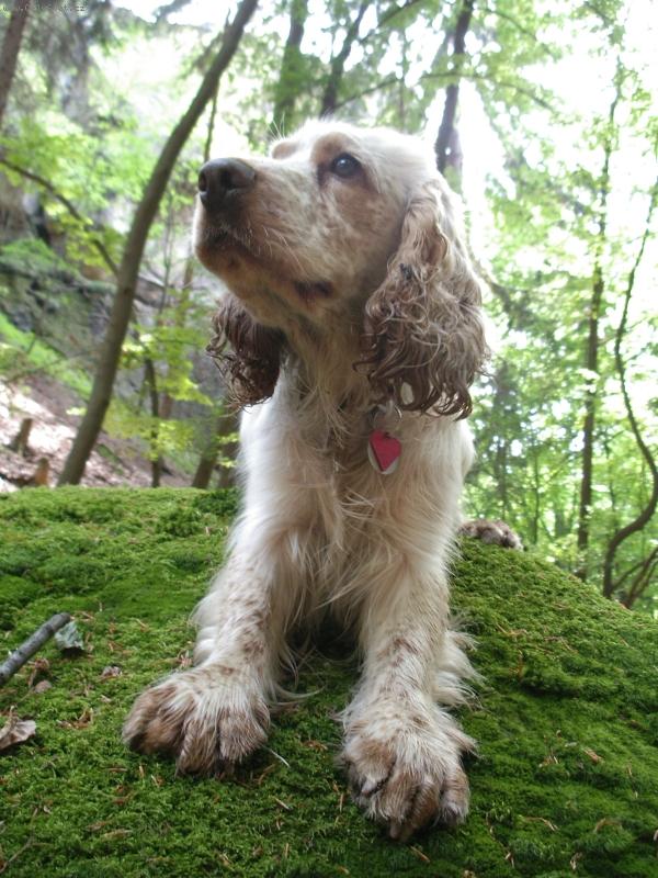 Foto: barnab� v �esk�m r�ji