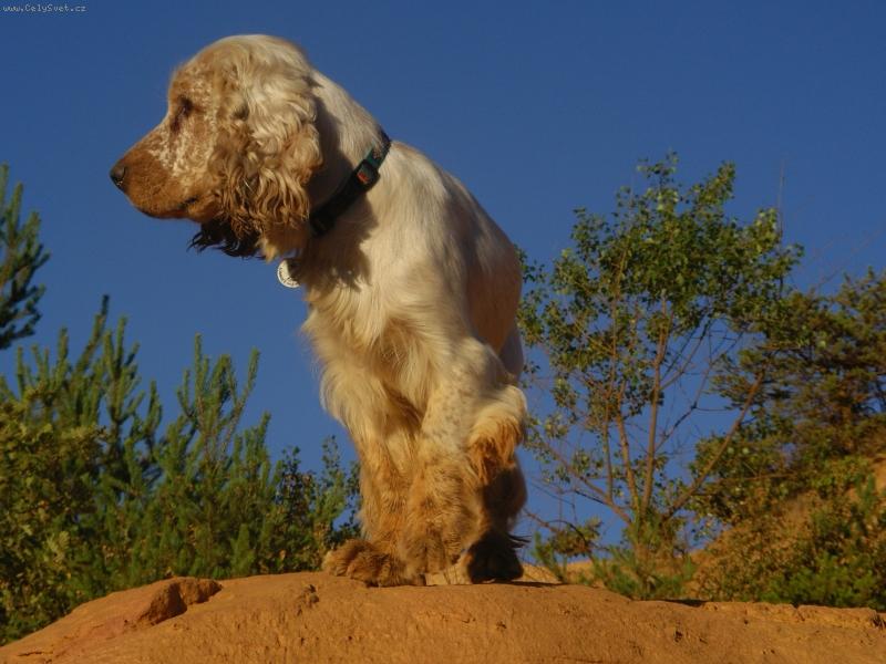 Foto: barnab� na obzoru