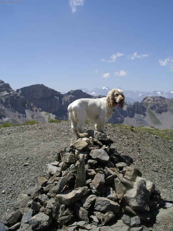 Foto: barnab� v alp�ch