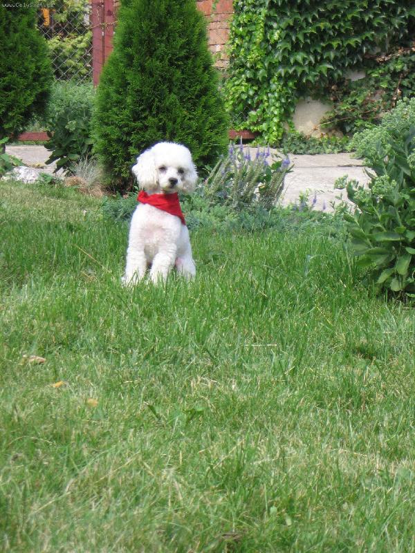 Foto: Pion�r M�a