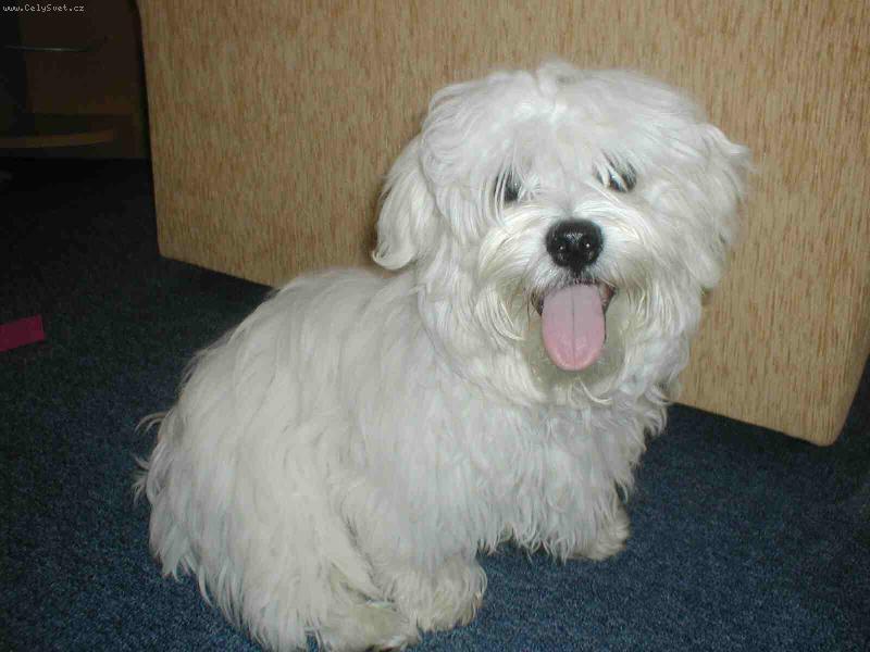 Foto: To m�m ale p�knej jaz��ek �e?