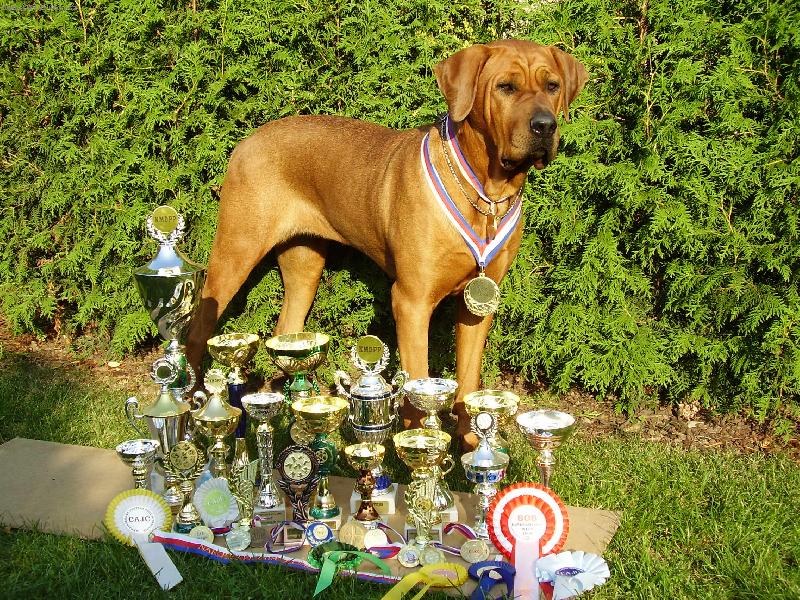 Foto: Ayscha Abides-Ayscha se sv�mi poh�rky