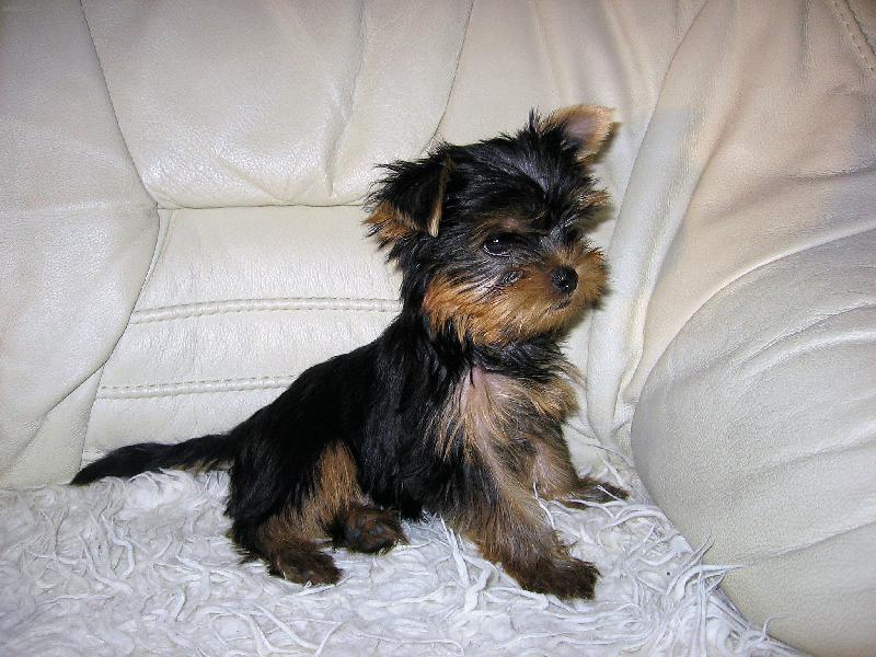 Foto: J� jsem tu p�nem...?