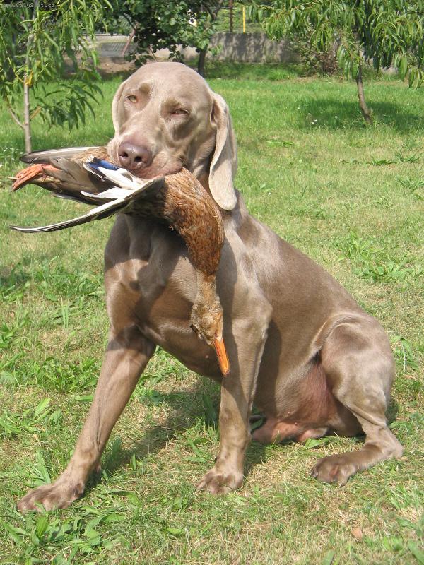 Foto: ART OD PLASOKU-Art�k lovec