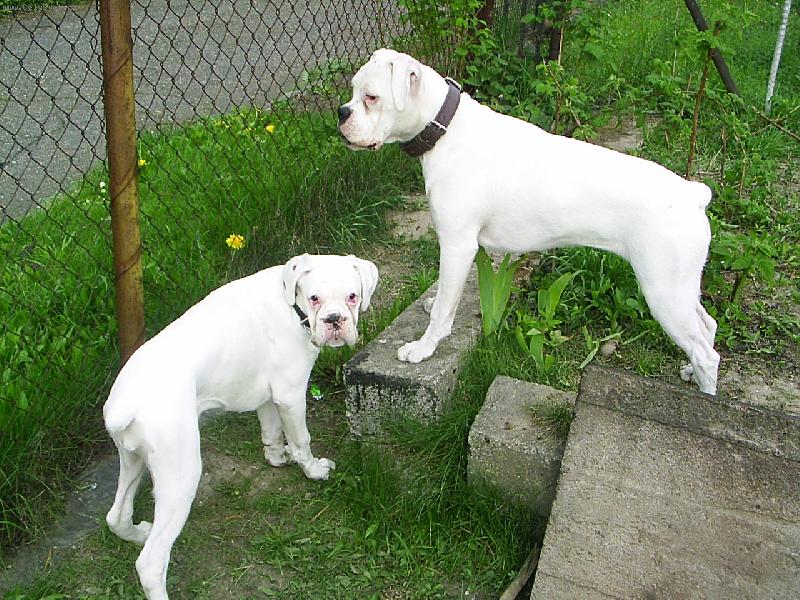 Foto: jak se v�m l�b�me-m�me se moc r�di